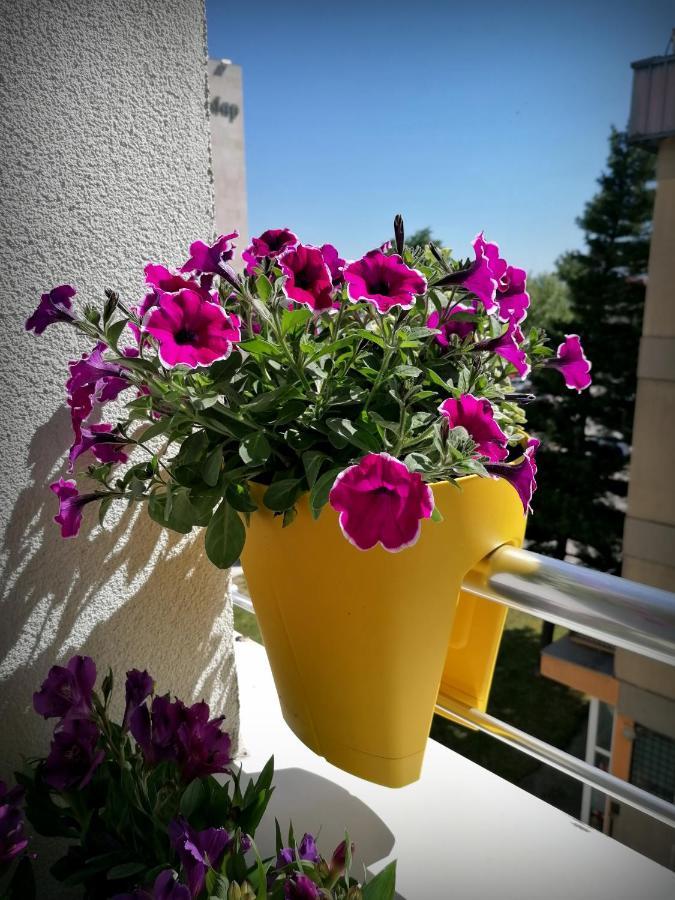 Serbona Kladovo Esterno foto